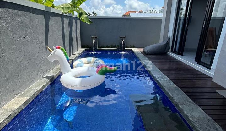Rumah Baru View Sawah di Denpasar Timur  2