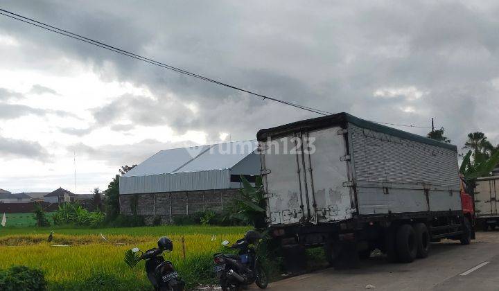 Tanah Cocok Untuk Gudang tempat Usaha di Mengwi, Badung 2