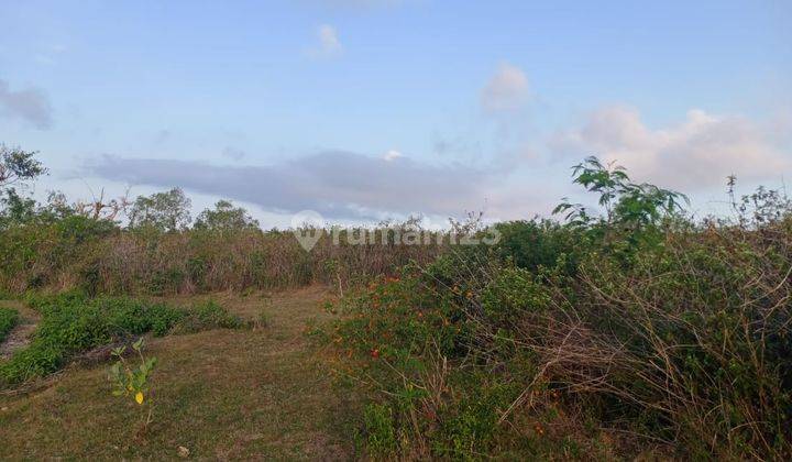 Potential Land For Lease In Ungasan, Badung 1