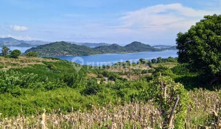 Tanah Dengan View Gili Lombok Barat Tanah Dengan View Gili Lombok Barat