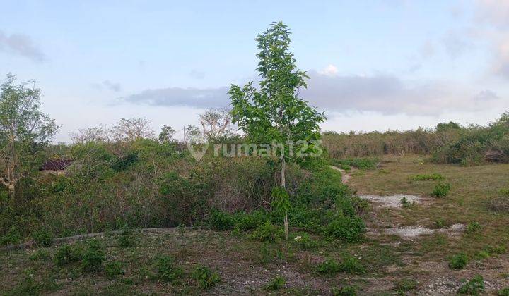 Potential Land For Lease In Ungasan, Badung 2