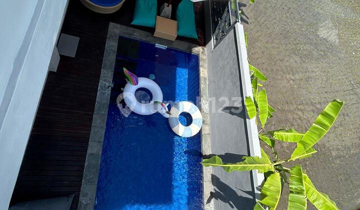 Rumah Baru View Sawah di Denpasar Timur 