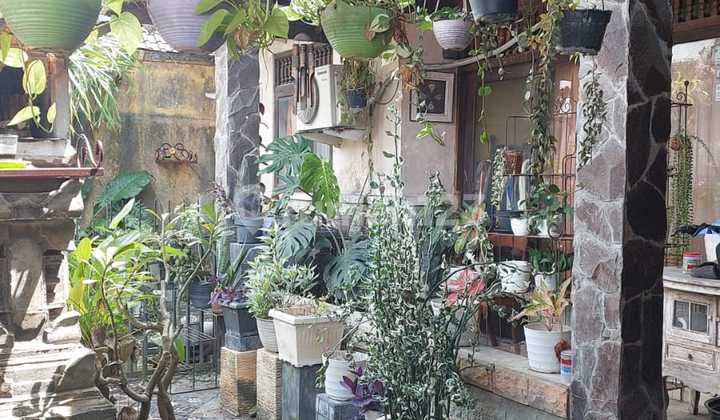 Rumah Murah Strategis di Munggu Badung Rumah Murah Strategis di Munggu Badung