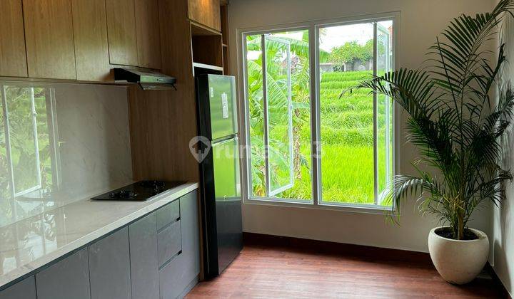 Nice Freehold With Rice Field View Villa In Padonan, Badung 2