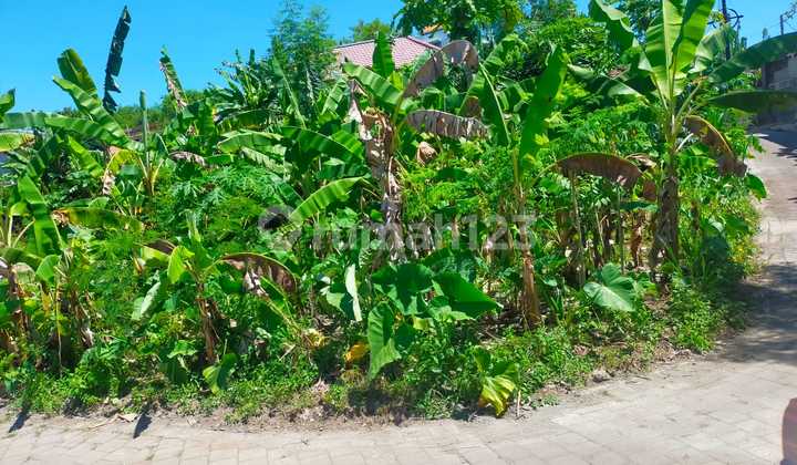 Tanah Hook di Kawasan BKR Ungasan, Badung