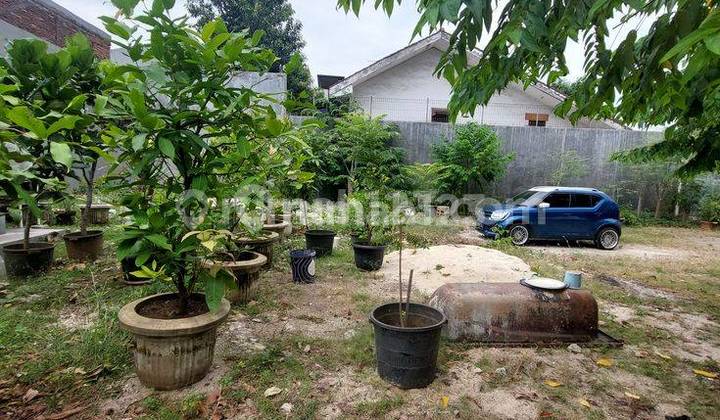 Disewakan Kavling SHM 930m Salak Masir Raya Tanjung Duren 2