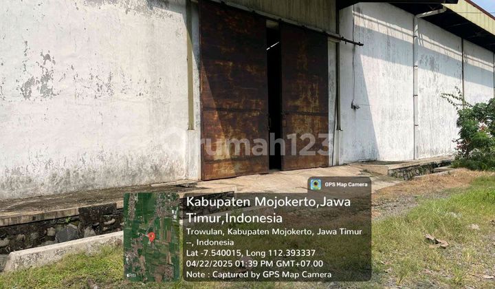 Gudang di Desa, Jl. Raya Trowulan, Trowulan, Trowulan, Mojokerto, Jawa Timur, Indonesia, 61362, Trowulan 8000.0 m² Unfurnished HGB 1