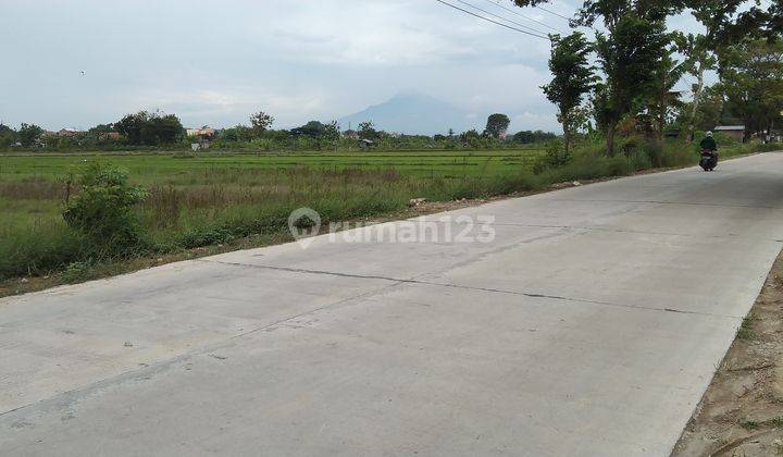 Tanah Sawah Bisa Dikeringkan tepi jalan raya  2