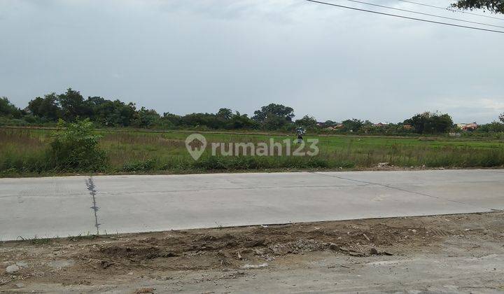 Tanah Sawah Bisa Dikeringkan tepi jalan raya  4