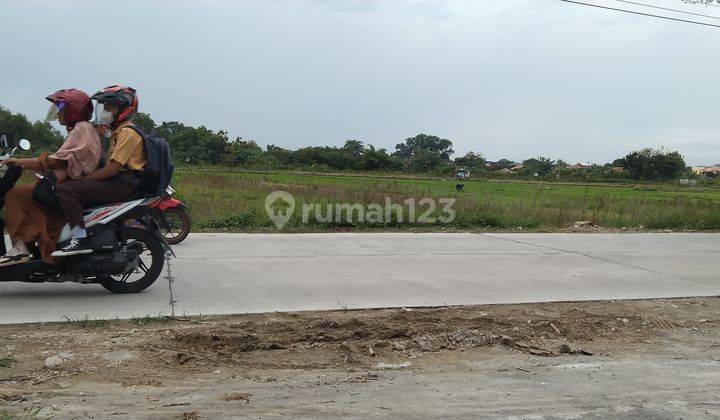 Tanah Sawah Bisa Dikeringkan tepi jalan raya  5