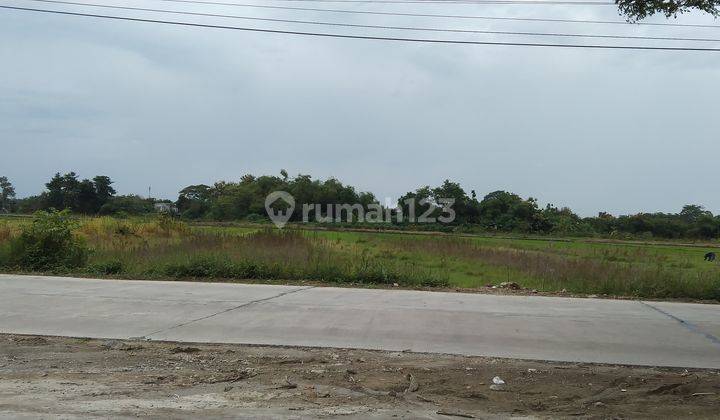 Tanah Sawah Bisa Dikeringkan tepi jalan raya  6