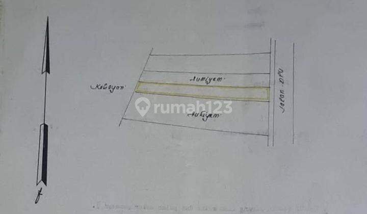 Tanah Pertanian Full Pohon Jati di Andong Boyolali 7
