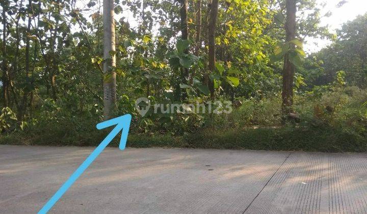 Tanah Murah 7.215 M2 Pinggir Jalan Dpu Sragen 5