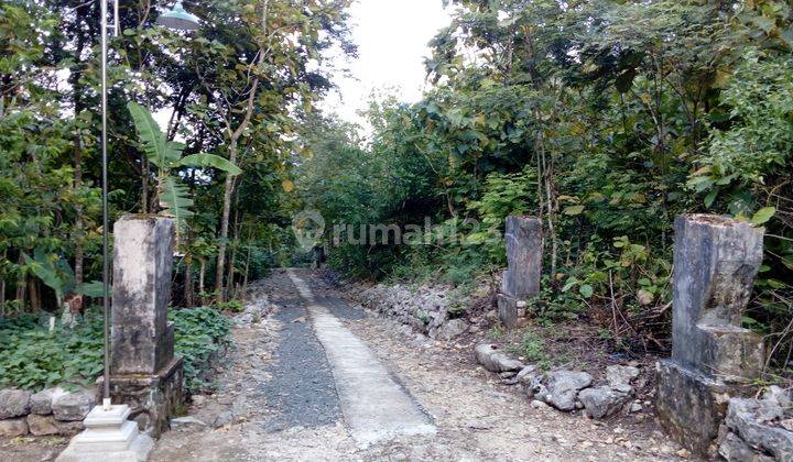 Tanah Pekarangan Murah Plus Tanaman Jati di Wonogiri 1