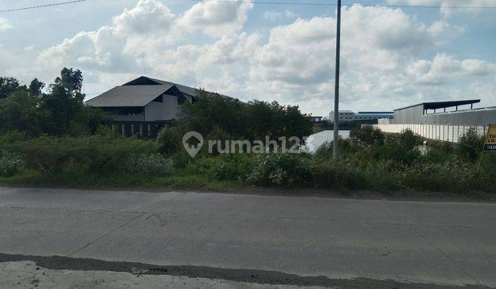 Tanah Murah Untuk Lahan Industri Di Kaliwungu  2