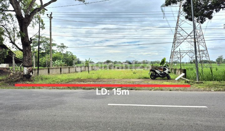 Tanah Pekarangan Murah Akses Jalan Raya Sangat Strategis Tanah Pekarangan Murah Akses Jalan Raya Sangat Strategis