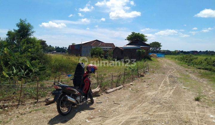 Tanah Pekarangan Murah Dekat Jalan Raya Solo Tawangmangu  2