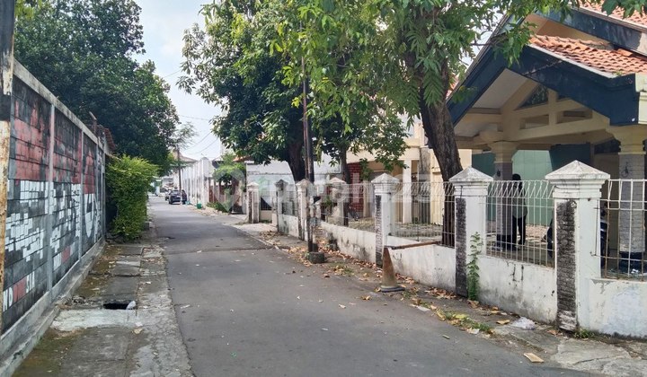 Rumah Murah Halaman Luas Di Tengah Kota Solo Rumah Murah Halaman Luas Di Tengah Kota Solo