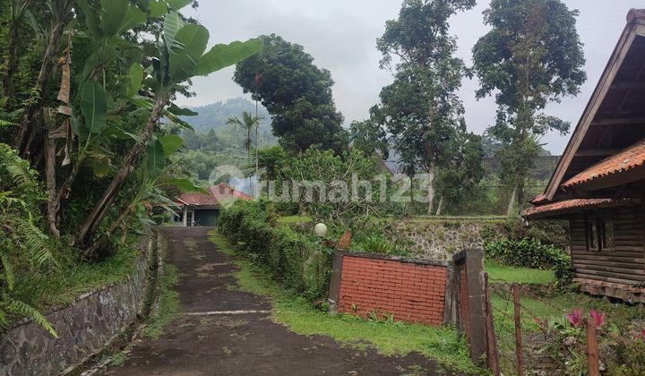 Land Price Drop Suitable For Agriculture Bonus Villa Cisarua Bogor Land Price Drop Suitable For Agriculture Bonus Villa Cisarua Bogor