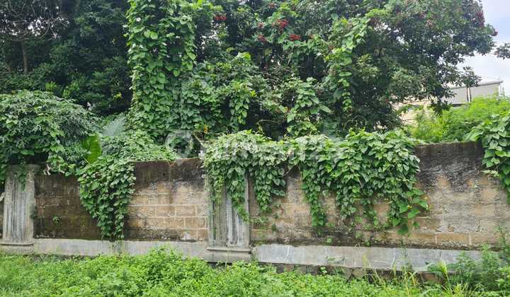 Ready-to-Build Land Plots in Cilandak, South Jakarta Ready-to-Build Land Plots in Cilandak, South Jakarta