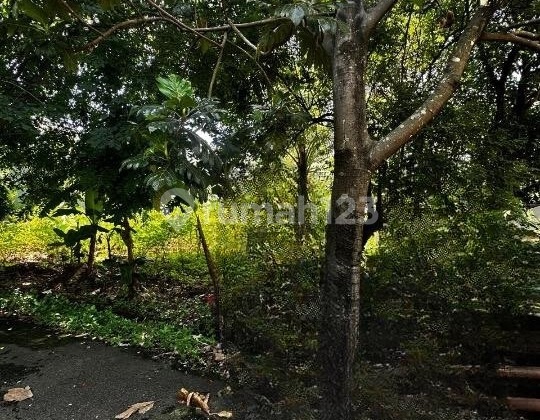 Tanah di Ciracas, Jakarta Timur seluas 530 m2 Siap NEGO