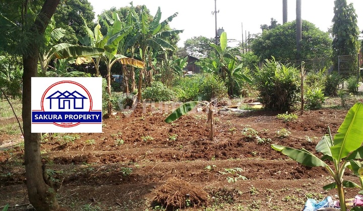 Tanah seluas 1975 m2 di cileungsi, lokasi strategis siap NEGO Tanah seluas 1975 m2 di cileungsi, lokasi strategis siap NEGO