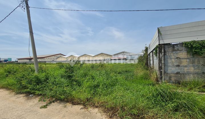 Disewa Cepat Tanah Lahan Industri Dekat Laksana Pakujai Pergudangan 19