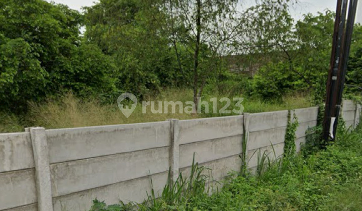 Dijual Cepat Tanah Padat Tigaraksa Kutruk Rancaiyuh Jambe Tangerang 