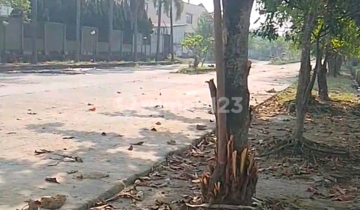 Tanah di Jl. Raya Cikande Rangkasbitung, Jawilan, Jawilan, Serang, Banten, Indonesia, 42177, Jawilan SHM 100000.0 m² Tanah di Jl. Raya Cikande Rangkasbitung, Jawilan, Jawilan, Serang, Banten, Indonesia, 42177, Jawilan SHM 100000.0 m²