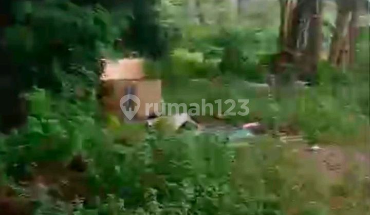 Land at Jl. Bayur No. 65, Kel. Periuk, Periuk, Jl. Bayur, Periuk Jaya, Periuk, Tangerang City, Banten, Indonesia, 15131, Periuk SHM 3000.0 M²