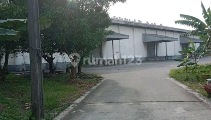 Gudang di Jl. Raya Bitung No. 3, Bitung Jaya, Cikupa, Tangerang, Banten, Indonesia, 15710, Cikupa 18000.0 m² Unfurnished SHM Gudang di Jl. Raya Bitung No. 3, Bitung Jaya, Cikupa, Tangerang, Banten, Indonesia, 15710, Cikupa 18000.0 m² Unfurnished SHM