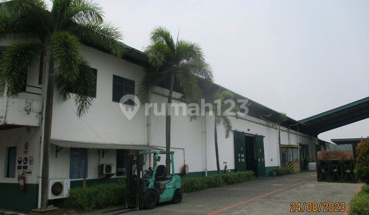 Warehouse at Jl. Raya Cikande Rangkasbitung, Jawilan, Jawilan, Serang, Banten, Indonesia, 42177, Jawilan 7835.0 m² Unfurnished HGB