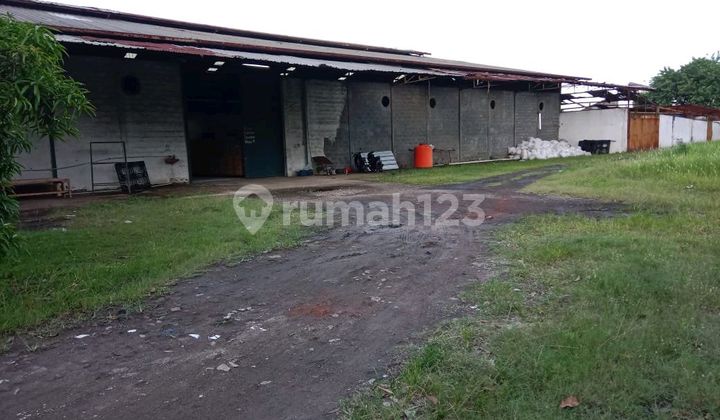 Warehouse on Jl. Iskandar Muda, Neglasari, Neglasari, Tangerang City, Banten, Indonesia, 15129, Neglasari 12165.0 m² Unfurnished Warehouse on Jl. Iskandar Muda, Neglasari, Neglasari, Tangerang City, Banten, Indonesia, 15129, Neglasari 12165.0 m² Unfurnished