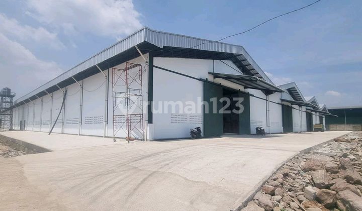 Warehouse at the T-junction of Buditex Industrial Area, Buditexindo, Rangkas Bitung Km 5.2, Jl. Raya Cikande Rangkasbitung, Junti, Jawilan District, Serang Regency, Banten 42177, Indonesia, Banten, 42177, Cikande 10000.0 M² Unfurnished HGB