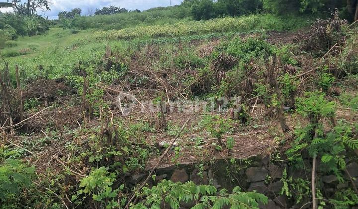 Land in Griya Sentosa, Jl. Raya Pantura, Kragilan, Kragilan, Serang, Banten, Indonesia, 42184, Kragilan HGB 75000.0 M²