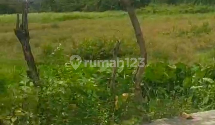 Tanah, 1 Lantai, di Periuk, Tanah, 1 Lantai, di Periuk,