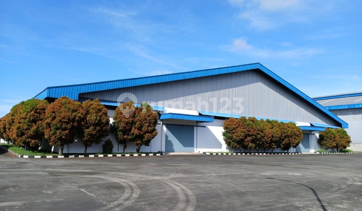 Flood-free, Factory, 1 Floor, Ready to Occupy Flood-free, Factory, 1 Floor, Ready to Occupy