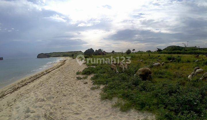 Tanah Pantai Lombok Timur, Nusa Tenggara Barat 8