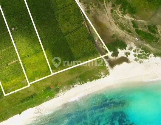 Tanah Pantai Lombok Timur, Nusa Tenggara Barat 11