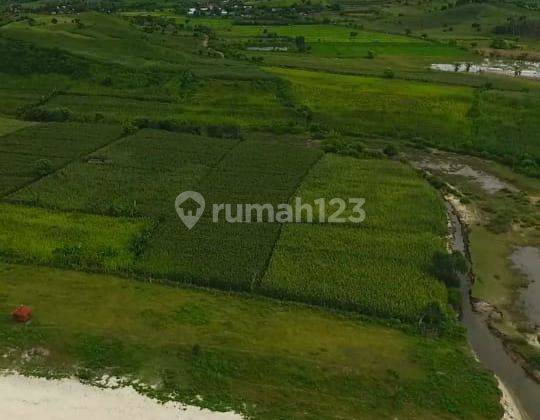 Tanah Pantai Lombok Timur, Nusa Tenggara Barat 12