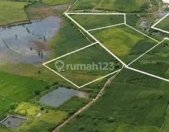 Tanah Pantai Lombok Timur, Nusa Tenggara Barat 14