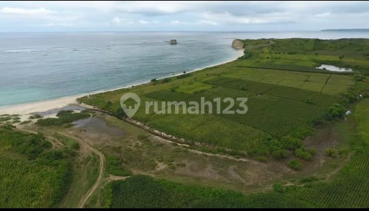 Tanah Pantai Lombok Timur, Nusa Tenggara Barat 18