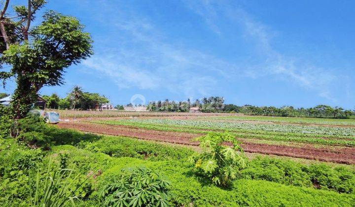Dijual Murah Tanah Pasar Kemis 2