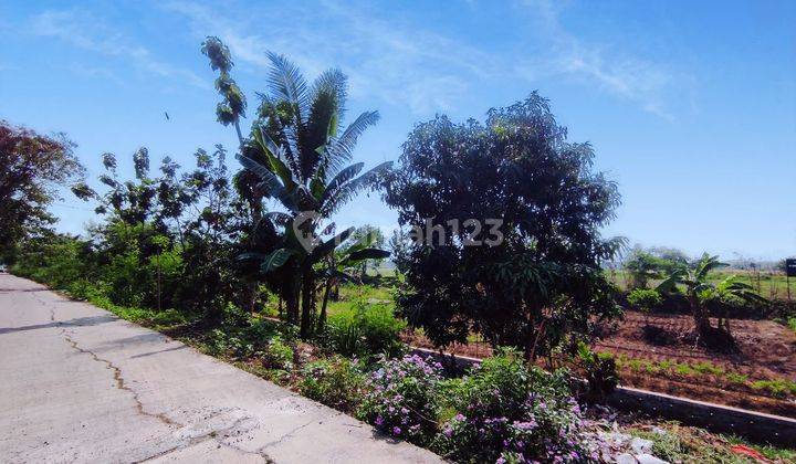 Dijual Murah Tanah Pasar Kemis 1