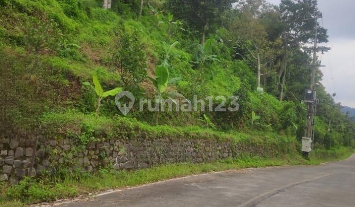 Dijual Tanah Murah Super Strategis di Trawas Mojokerto! Dijual Tanah Murah Super Strategis di Trawas Mojokerto!