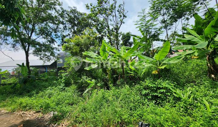 For Sale Land In Tembalang Semarang All Directions Good Location 1