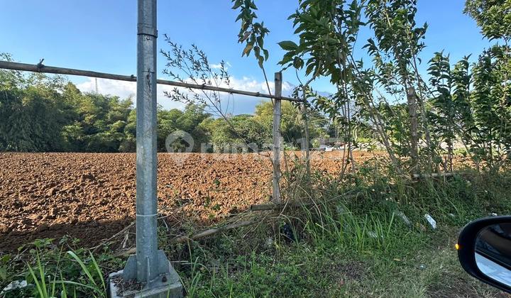 Dijual Tanah Komersial Panderman Hill Batu! Lokasi Strategis! Dijual Tanah Komersial Panderman Hill Batu! Lokasi Strategis!