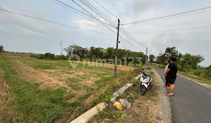 For Sale Fertile Agricultural Land In Rembang Central Java Cheap Negotiable