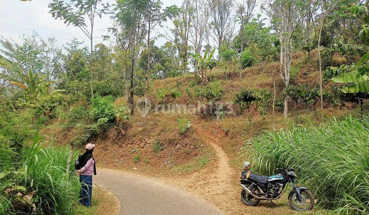 DIJUAL TANAH DI PURWODADI LAWANG TOP MURAH DAN LANGKA 2