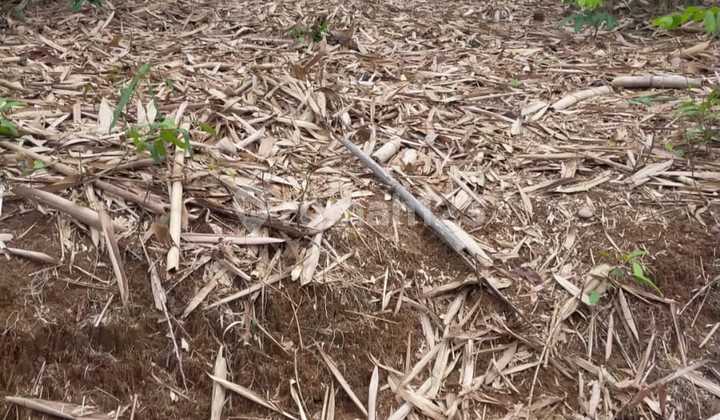 DIJUAL TANAH DI DESA SUKABUNGAH BOJONGMANGGU BEKASI JALAN TRUK BISA 1